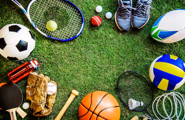 2024 in Sports: Record-Breaking Triumphs and Iconic Wins