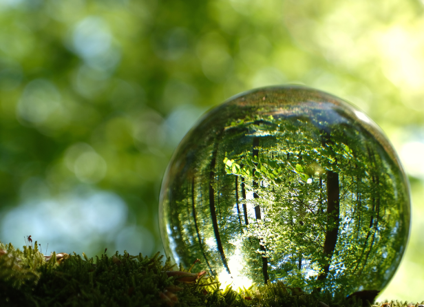 Solutions for Reviving Nature - gallery image 1