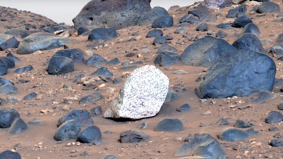 NASA Uncovers Five Mysterious Rock Formations on Mars — Scientists Stunned by Possible Clues to Ancient Life