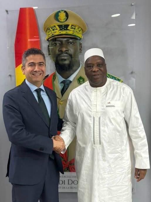Egypt’s Ambassador to Guinea Meets Guinean Foreign Minister - gallery image 1