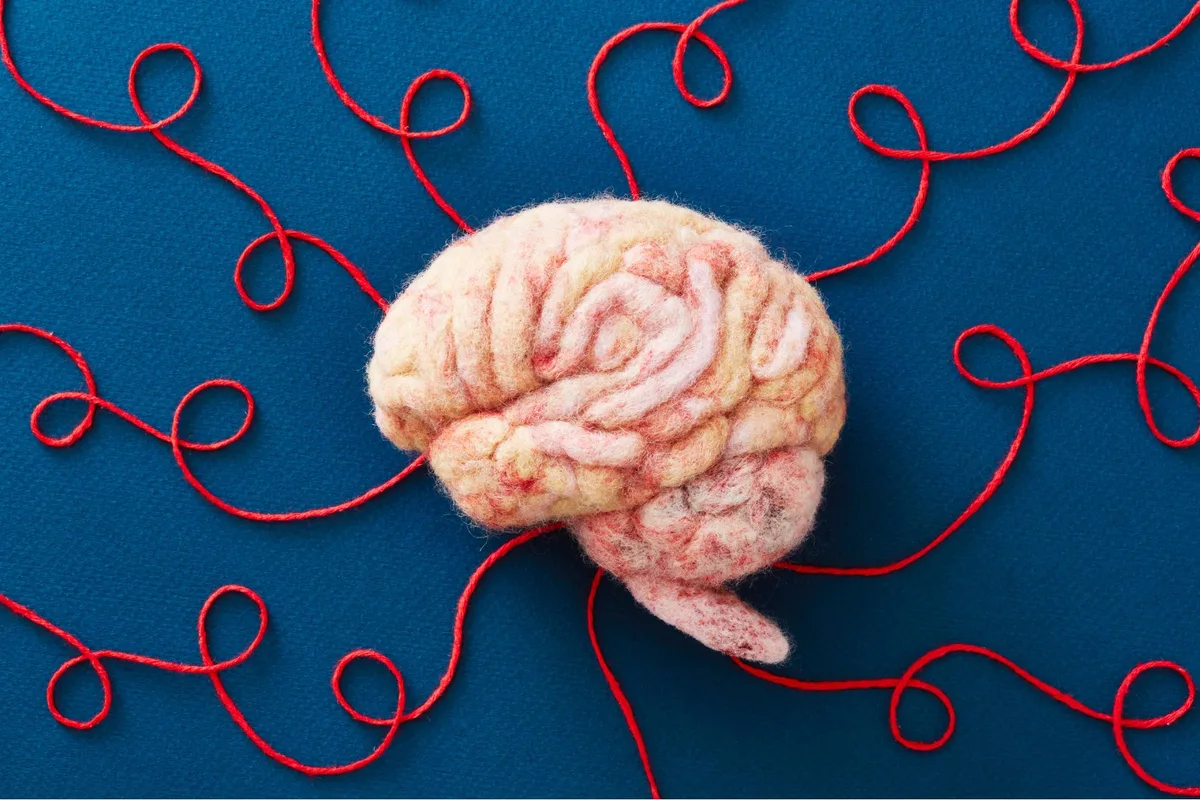 Scientists Reveal the Secret Habit That Keeps ‘SuperAgers’ Mentally Sharp for Life