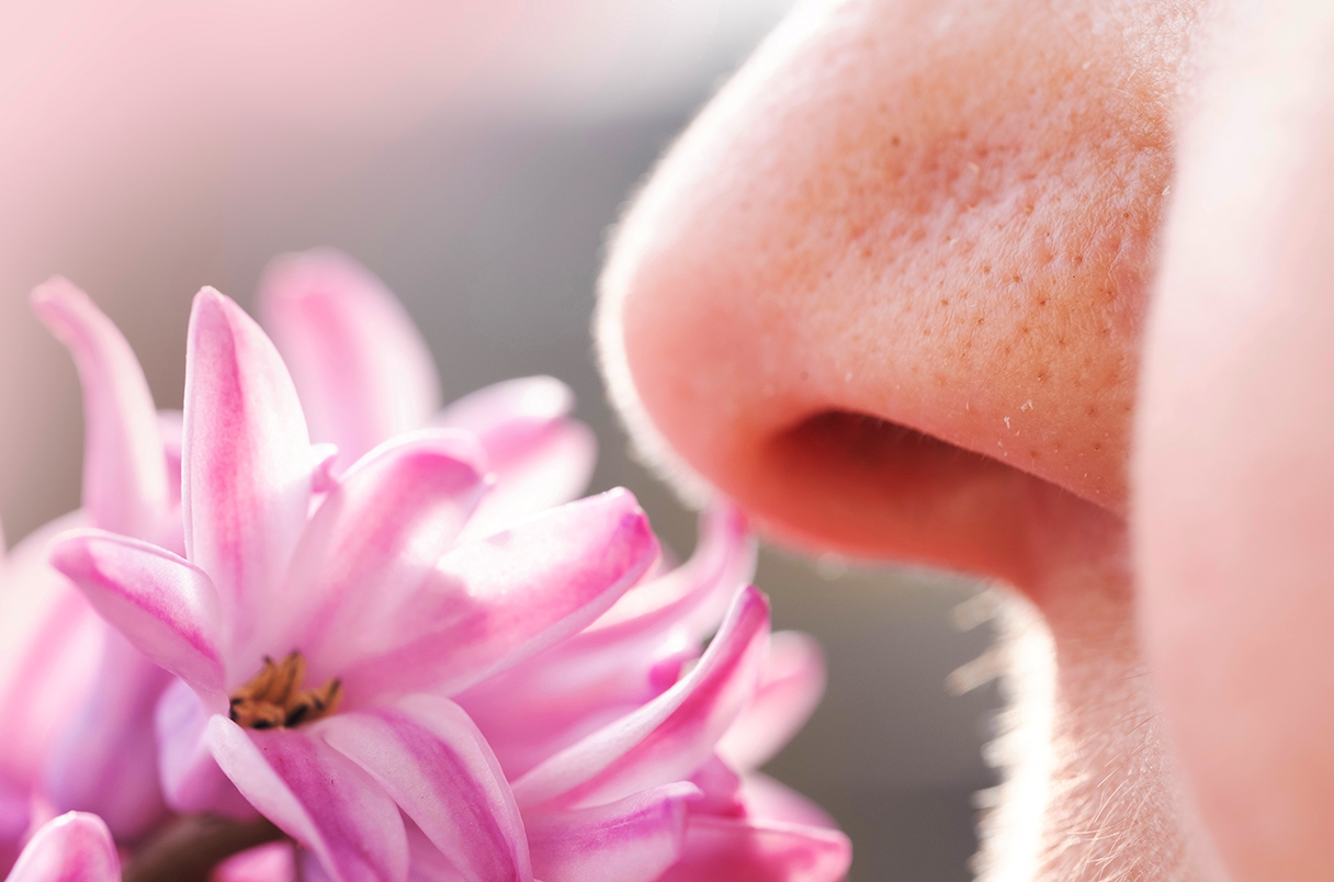 Nasal Device Helps People with Smell Loss Detect Odors - gallery image 1
