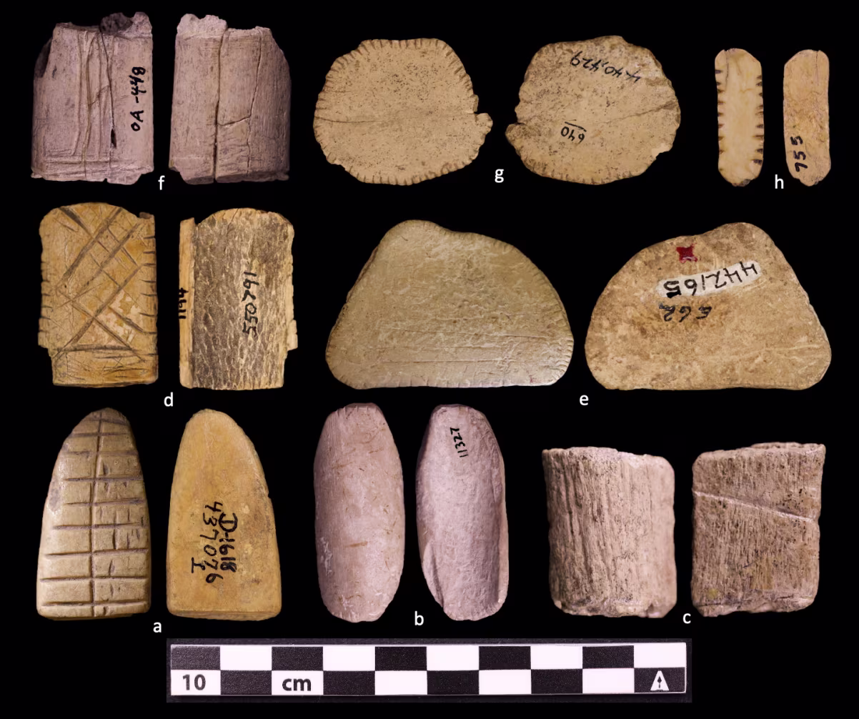 Prehistoric Dice Reveal Native Americans May Have Been Gaming Since the Ice Age
