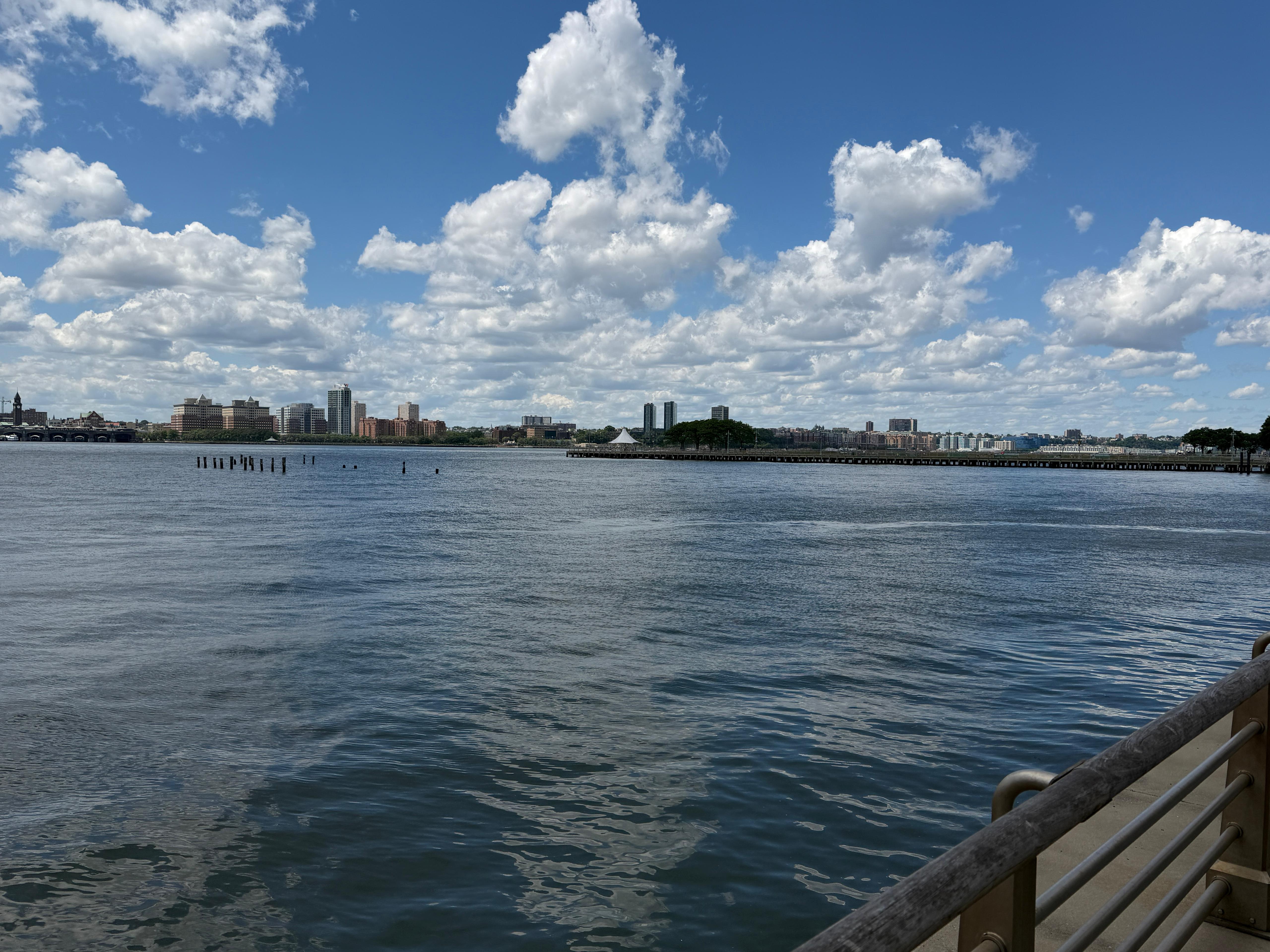 Hudson River Park: The Strategic Transformation of Manhattan’s Waterfront into a Global Urban Landmark - gallery image 5