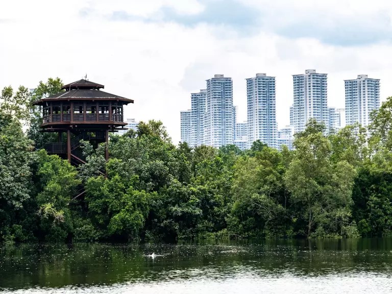 Singapore’s Urban Nature Grid: How National Parks Shape a City in a Garden Identity