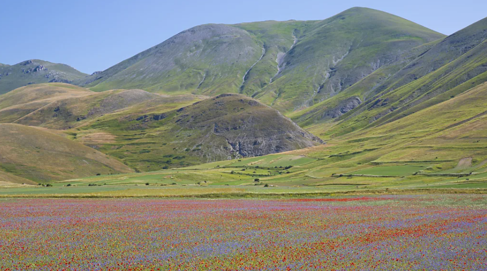 Italy's Castelluccio Bloom Demonstrates How Traditional Farming Shapes a Global Tourism Identity