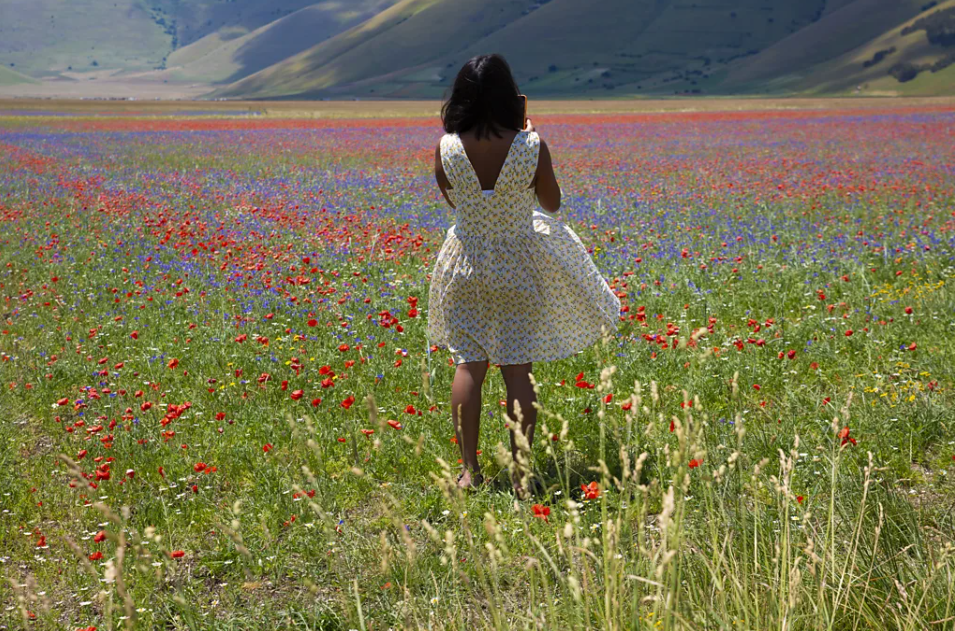 Italy's Castelluccio Bloom Demonstrates How Traditional Farming Shapes a Global Tourism Identity - gallery image 5