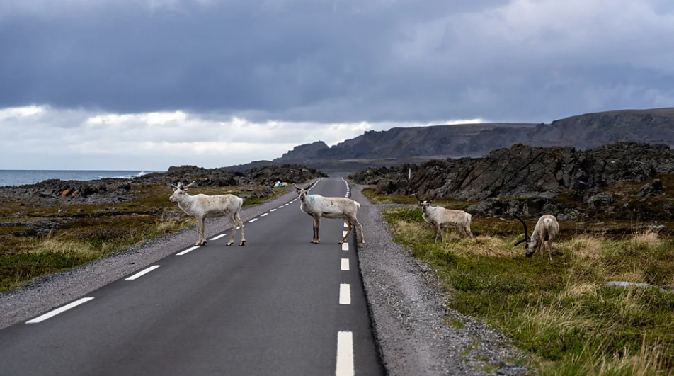 Norway's Arctic Frontier Offers One of Europe's Most Extraordinary Road Journeys