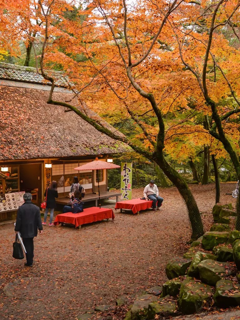 Where to Travel in Fall: 10 Destinations for the Perfect Autumn Escape