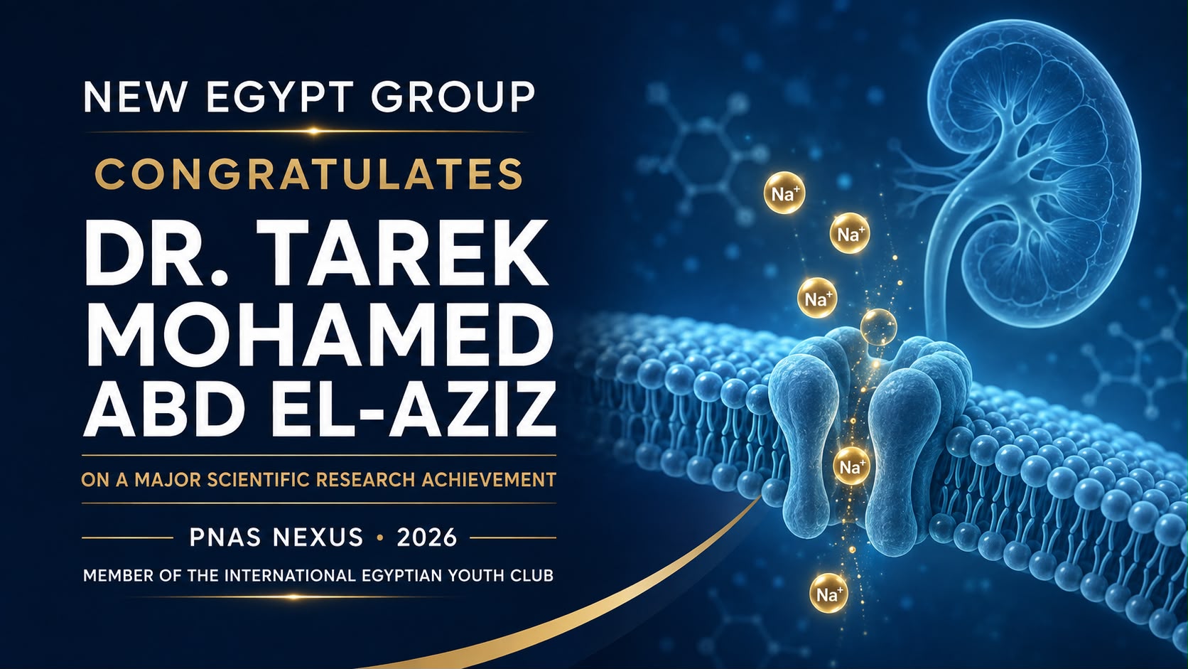 Dr. Tarek Abd El-Aziz Publishes Major Research on Kidney Sodium Regulation and Blood Pressure