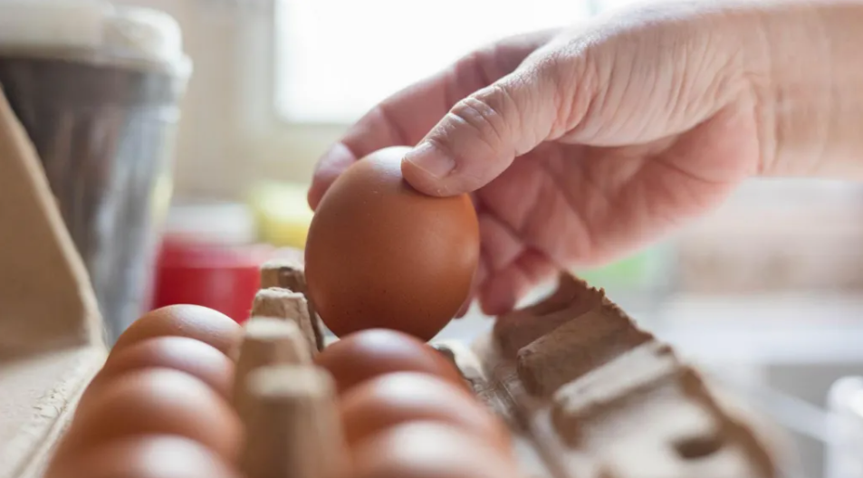 UK Salmonella Outbreak Exposes the Hidden Risks Behind Imported Eggs and Food-Service Supply Chains