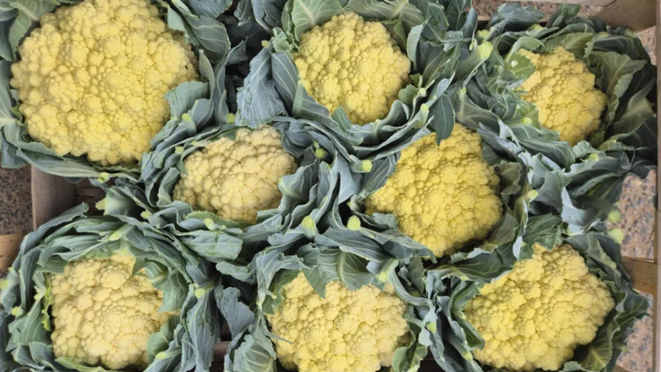 When Appearance Becomes a Cost: How Extreme Heat Is Reshaping Britain’s Food Economy - gallery image 1