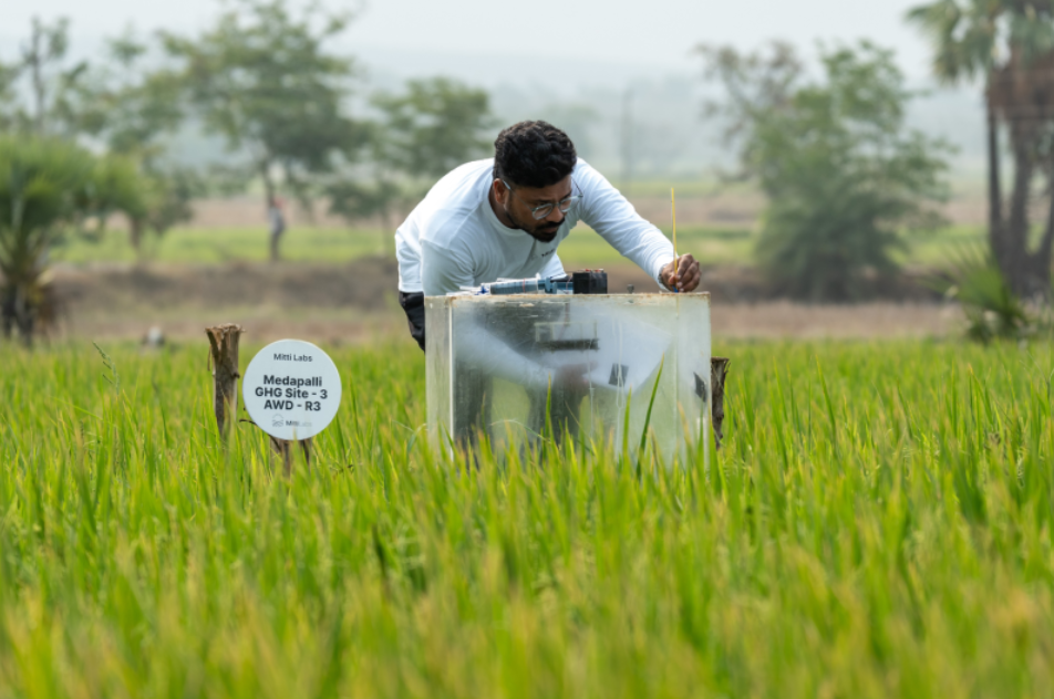 Google Bets on Indian Climate Tech as Mitti Labs Scales Rice Methane Credits - gallery image 1