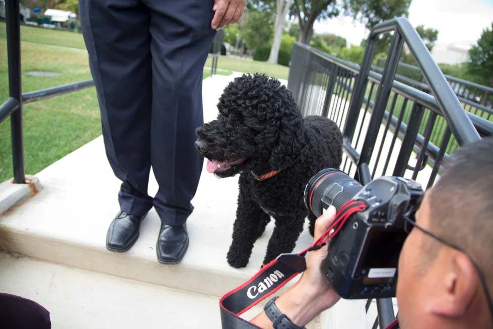 Obama Family Mourns Sunny as the Beloved White House Dog Dies at 13