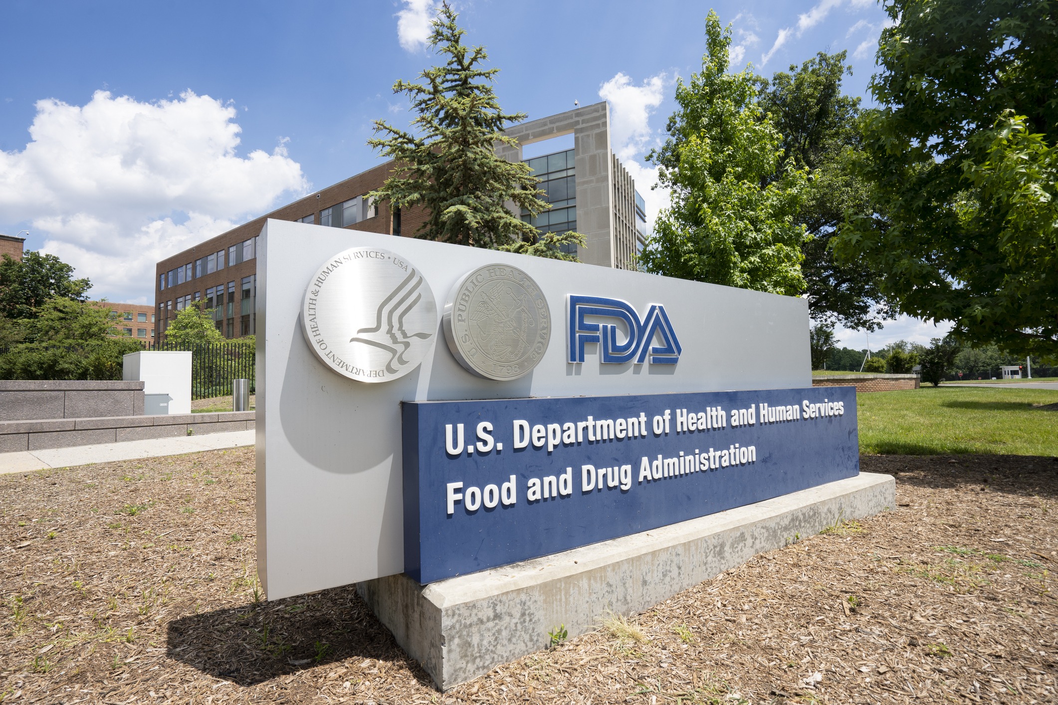 FDA Advisers Back 2027 Flu Vaccine Strains as Manufacturers Prepare for Southern Hemisphere Demand - gallery image 1