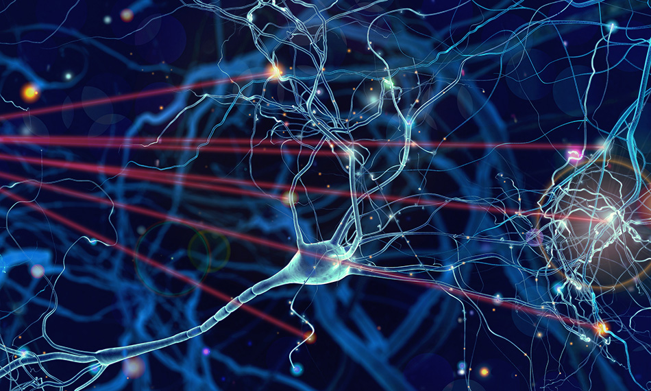 2026 Nobel Medicine Prize Honors Scientists Behind Optogenetics Breakthrough - gallery image 1
