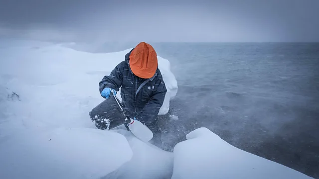 "Preserving the Arctic: How Scientists Minimize Impact at the World’s Northernmost Research Lab" - gallery image 1